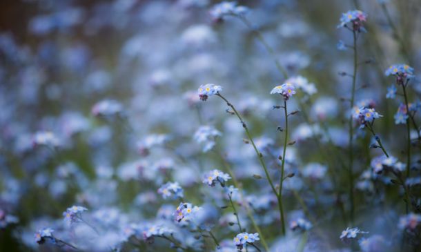 NOT PLAYAING AROUND: French Man Claims Sink Injury In Boca Playa Bowls