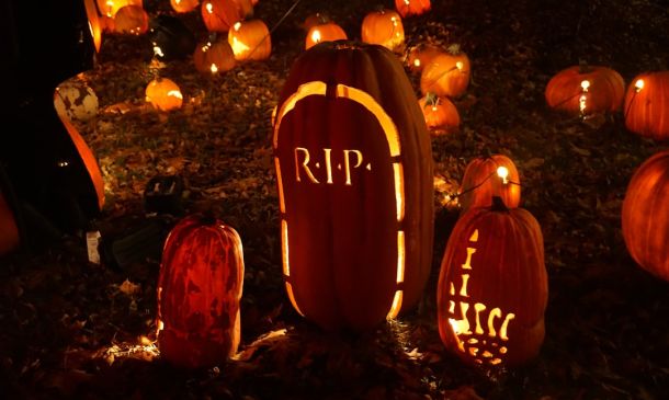 Rip Current Statement issued October 19 at 4:32PM EDT until October 20 at 8:00PM EDT by NWS Miami FL