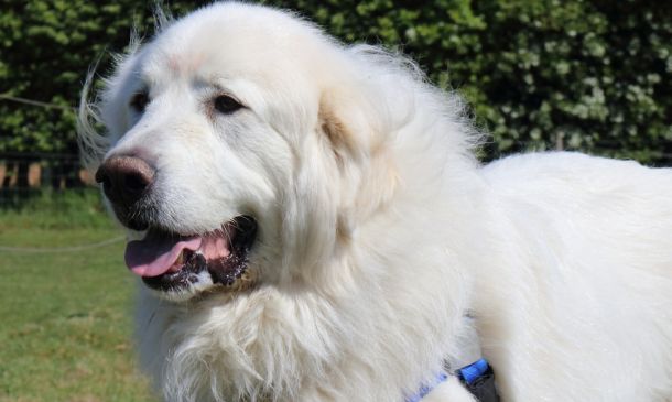 Hypothermia Risk Overnight, Tuesday Morning With 28 Degree Wind Chills 5 Massive Flight Delays Nationwide And In South Florida As Winter Storm Pummels