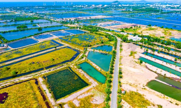 Boca Raton's Massive Pickleball Hub Breaks Ground