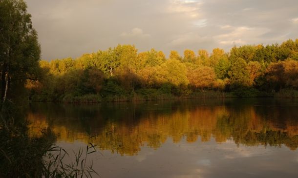 Lake Worth Man Guilty Of Massive Medicare Fraud