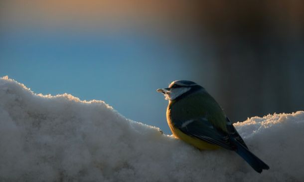 Major A1A Repaving, Improvement Project in Highland Beach ‘Substantially Complete’ 2 Major A1A Repaving, Improvement Project in Highland Beach ‘Substantially Complete’