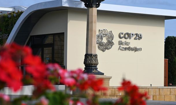 Boca Woman Arrested After Alleged Deputy Assault