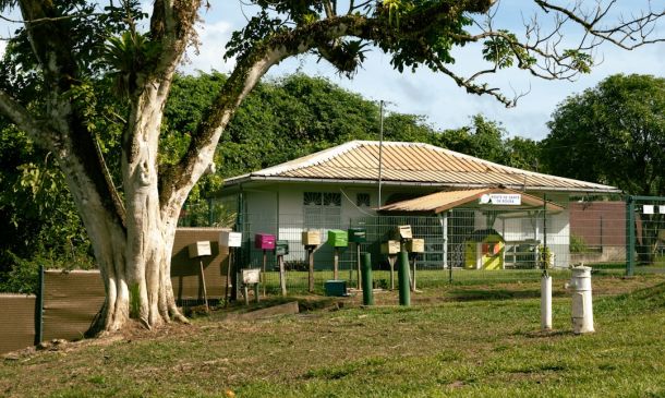 Boca Raton's New Affordable Home Care