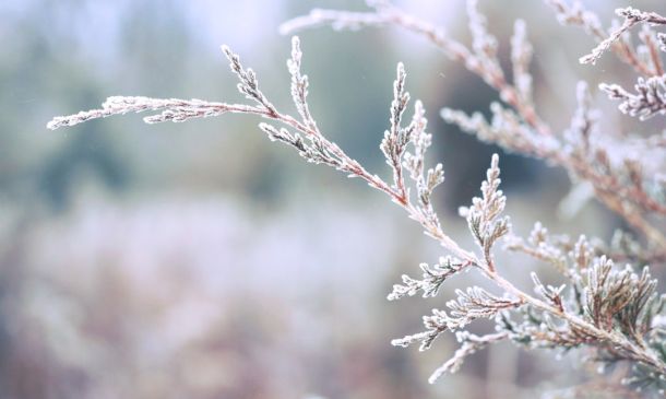 Cold Case Detectives ID Victim in 1978 Boca Raton Homicide