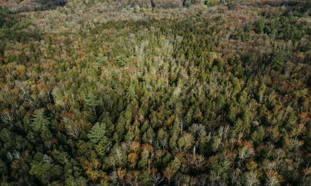 Florida Turnpike Shut In Broward County After Crash 4 Sullivan Fire Leaves Two Dead At Three Unit Apartment