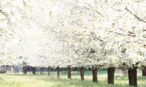 High Priority Health Violations For Henry’s Delray Beach 2 High Priority Health Violations For Henry’s Delray Beach