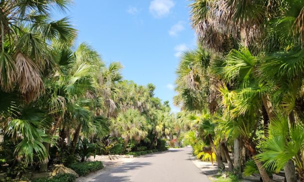 Boca Raton Before Yamato Road: A Pioneer Story