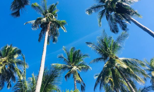 Palm Beach County Woman Sues Disney, Claims Critical Park Injuries