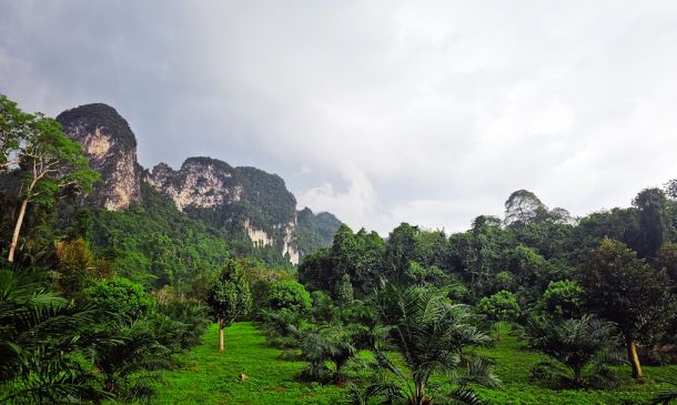 Tropical Depression 3 Forms, Will Move Toward Carolinas 2 Tropical Depression 3 Forms, Will Move Toward Carolinas