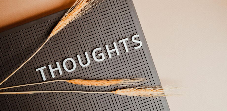 senses of cinema films for thought 172 ef3f98ee Entertainment