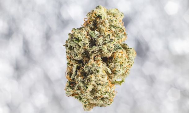 Marijuana, Driving Drunk, Child In Front Seat All Illegal In Florida