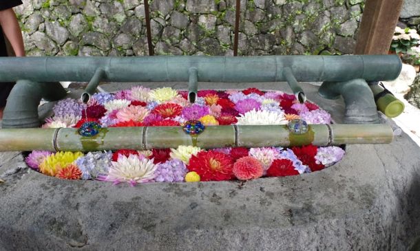 Boca Raton's John Tulock: A Life Remembered