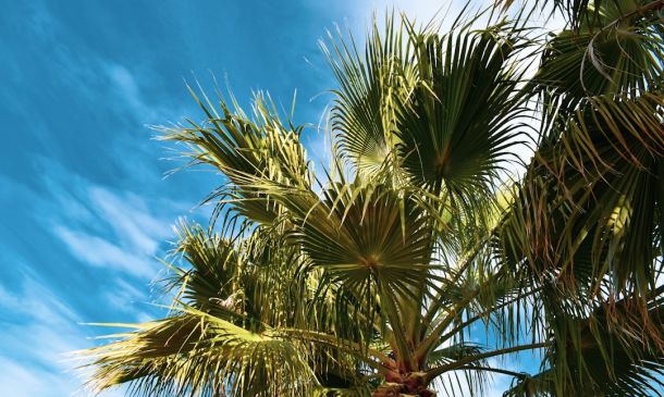 Boca Raton Weekend: Sunny & 70s