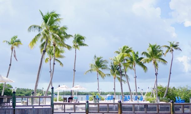 Boca Raton Singles: Find Love in Palm Beach