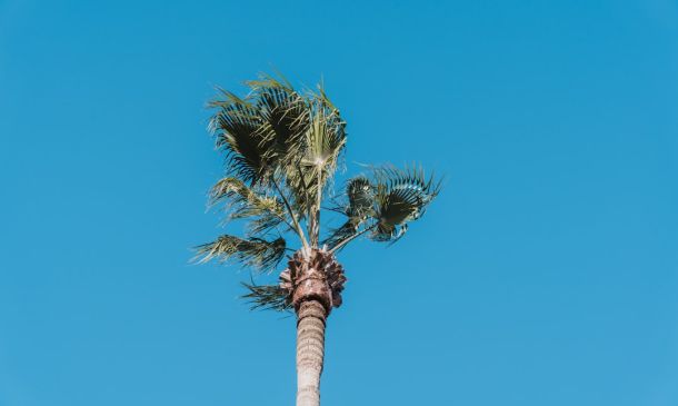 Boca Raton Weather: Today's Forecast & Beach Conditions