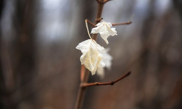 CITY OF DELRAY BEACH MAKES EMERGENCY WATER ANNOUNCEMENT 3 Boca Raton Man, 34, Charged With Sex Assault of Minor Under His Care