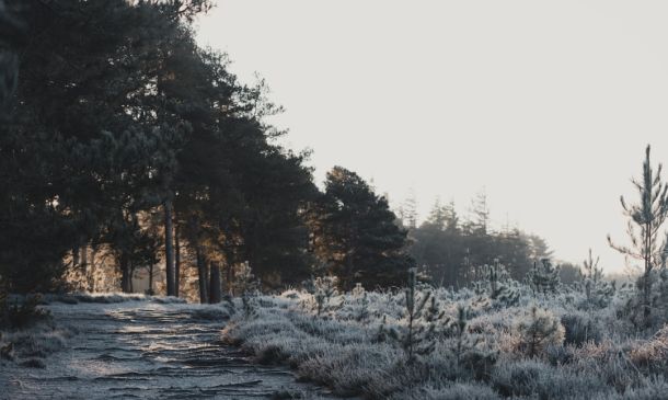 CHILLY! Did You See What The Low Is Going To Be In South Florida Tonight?