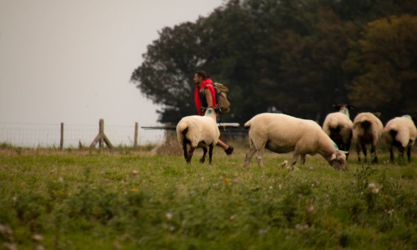 Major Police Scene Near Deer Creek Country Club