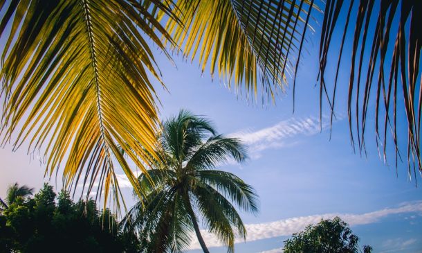 Boca Raton Volleyball: Intensity in Every Shot 7 Boca Raton Storm: Prepare for Heavy Rain & Flooding