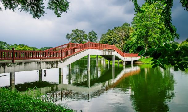 15 Homes, 15 Years: A Boca Raton Success Story